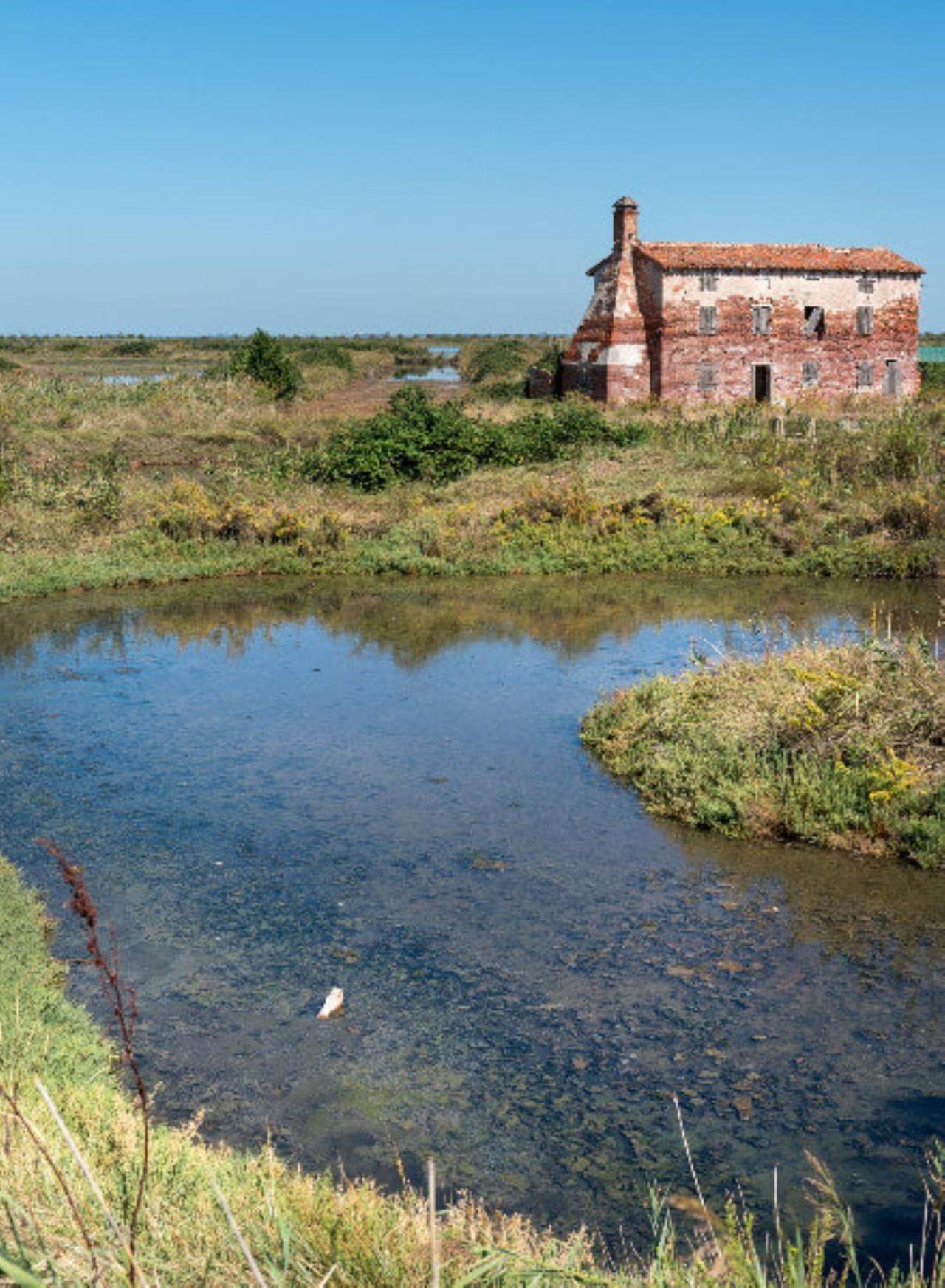 Appartamento Stella Di Mare - Ca Savio Cavallino-Treporti Esterno foto