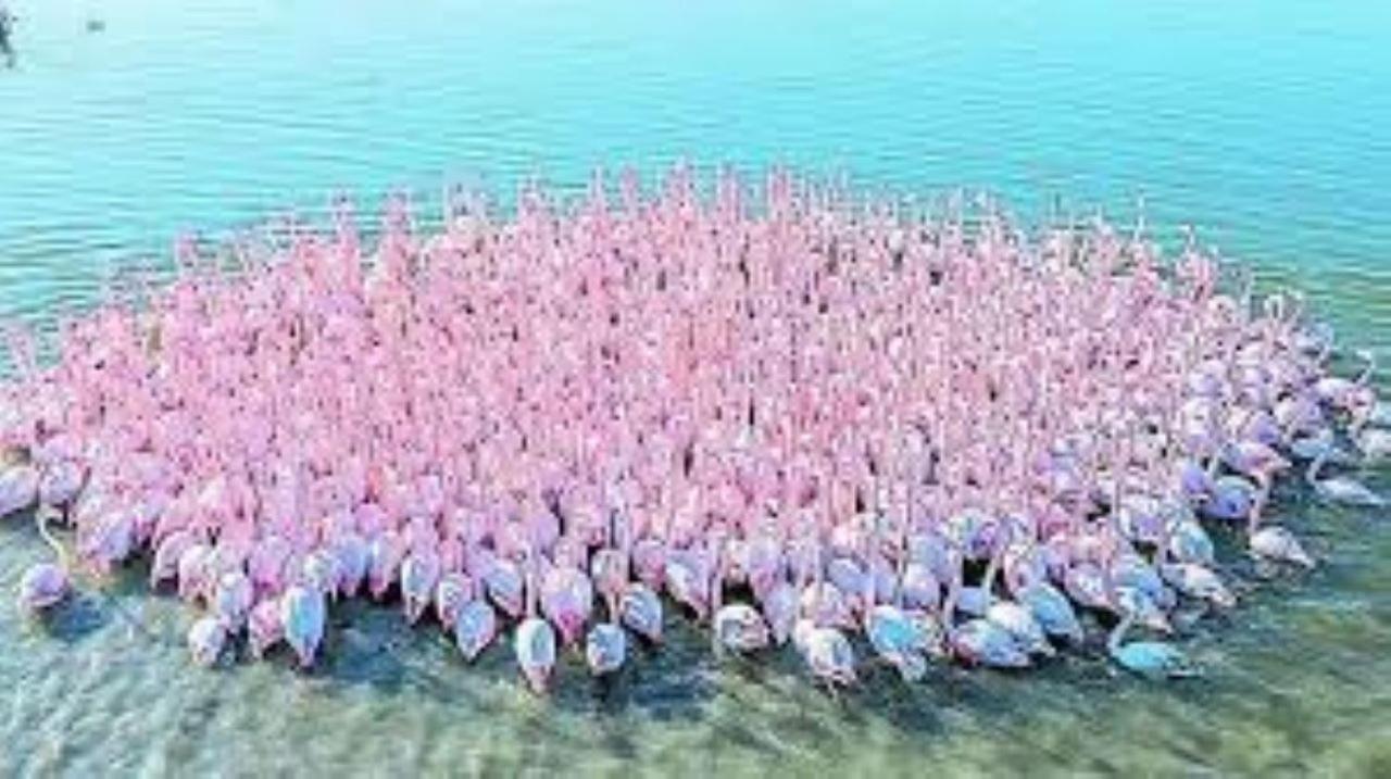 Appartamento Stella Di Mare - Ca Savio Cavallino-Treporti Esterno foto